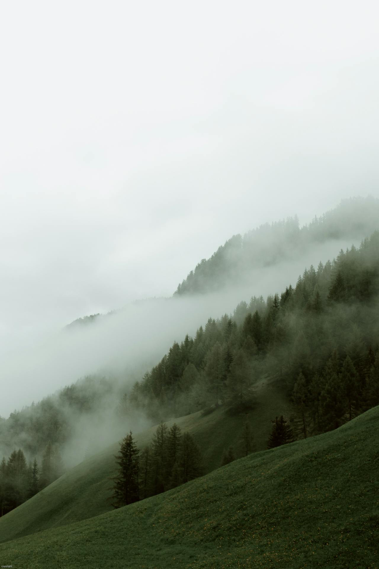 Beitragsbild
